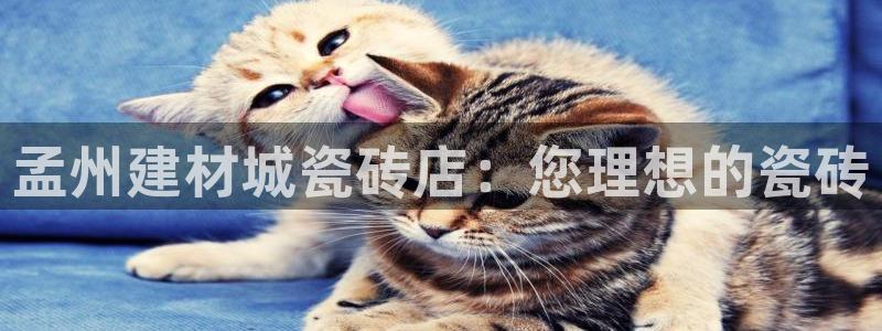 杏鑫官方app代理