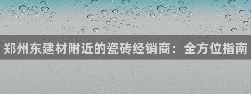 杏鑫招商总代