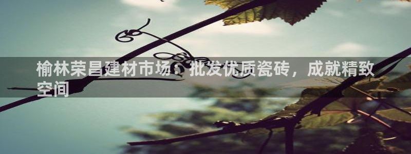 杏鑫平台招商怎么样