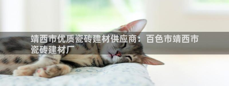 杏鑫平台测速