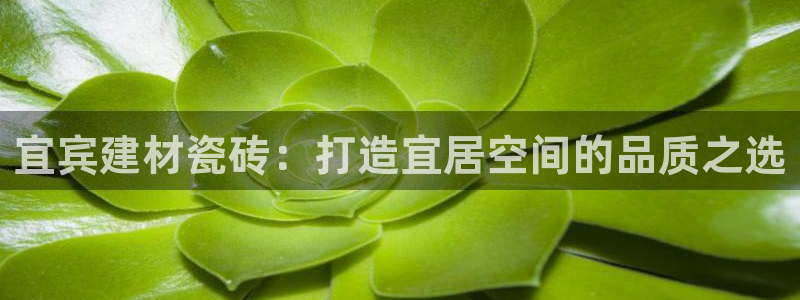 杏鑫平台怎么样黑钱吗是真的吗还是假的