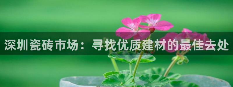 杏鑫平台招商怎么样可靠吗