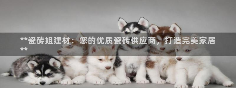 杏鑫招商总代