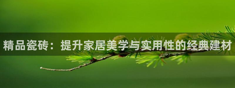 杏鑫平台官方网站
