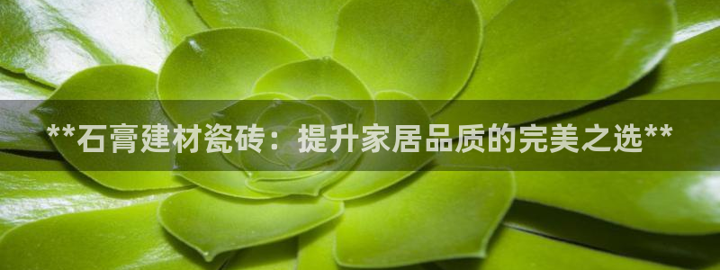 杏鑫平台下载安装