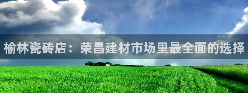 杏鑫招商总代