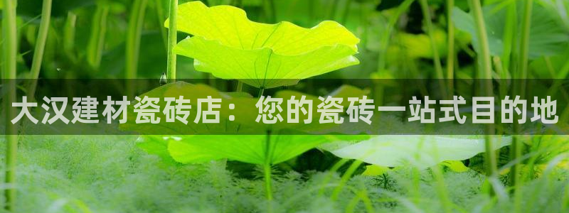 杏鑫平台正规吗是真的吗