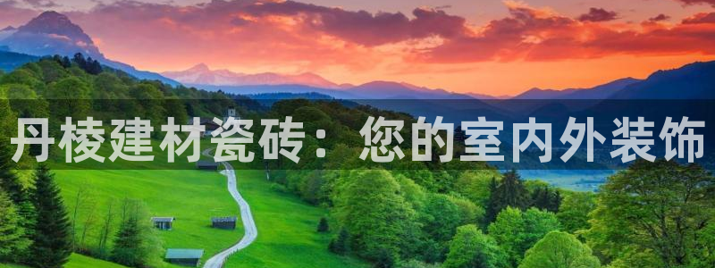 杏鑫官方平台怎么样啊