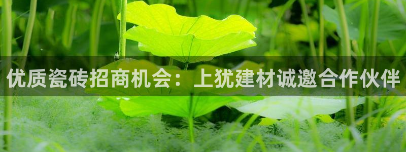 杏鑫娱乐官方网站客户端