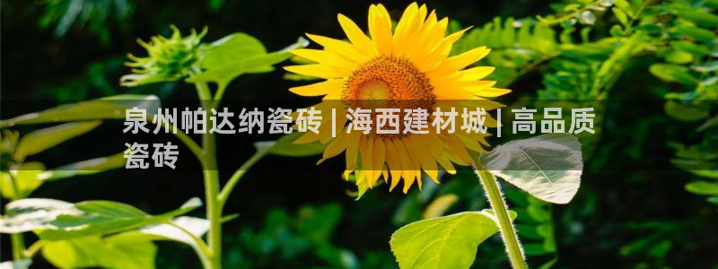 杏鑫平台提供