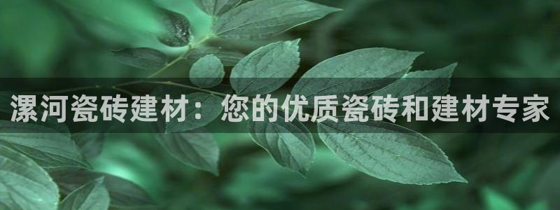 杏鑫官网最新信息