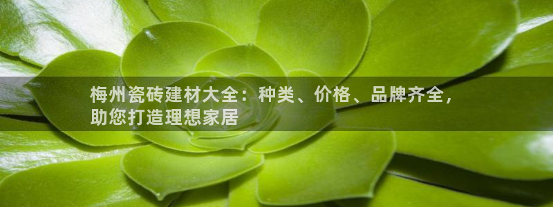 杏鑫平台线路测速