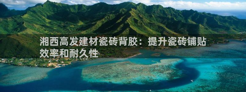 杏鑫官方平台怎么样啊