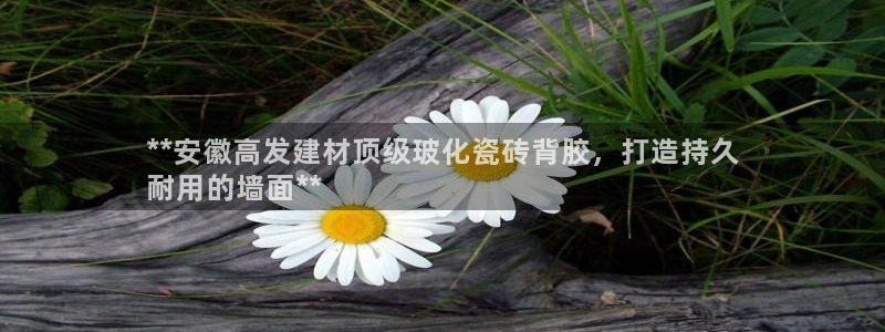 杏鑫娱乐官网首页