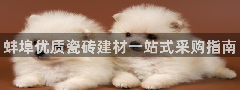 杏鑫平台正规吗是真的吗