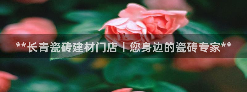 杏鑫平台野马联盟