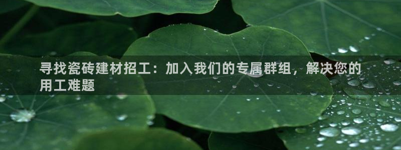 杏鑫官方app代理