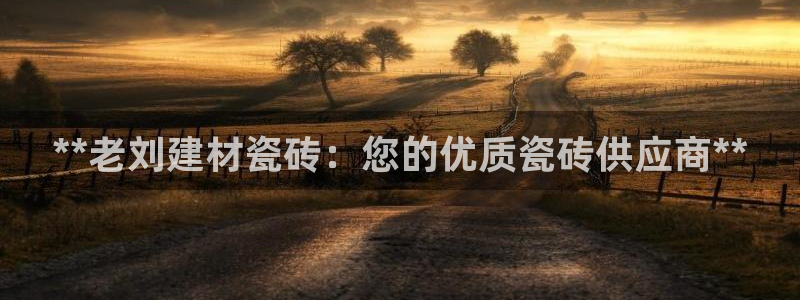 杏鑫官网最新信息
