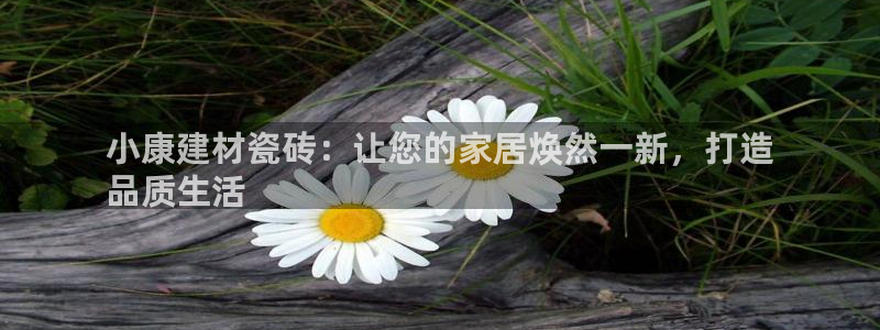 杏鑫平台正规吗是真的吗