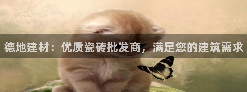 杏鑫平台招商电话号码