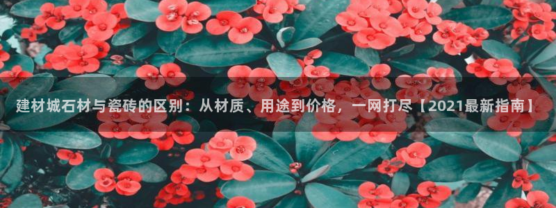 杏鑫平台代理怎么做的
