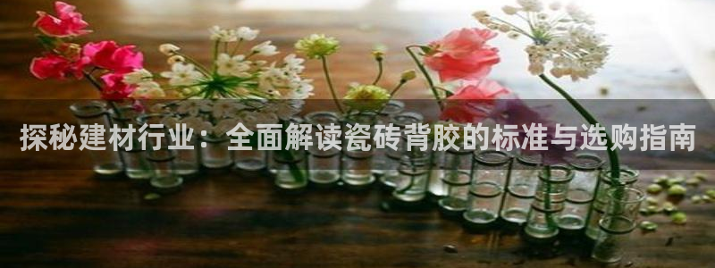 杏鑫平台下载安装