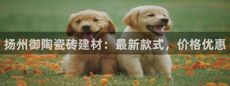 杏鑫平台野马联盟