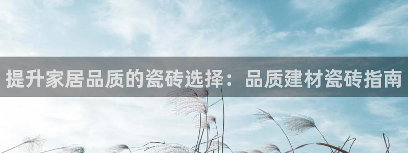 杏鑫平台代理怎么样啊