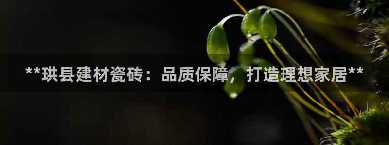 杏鑫平台列7O777