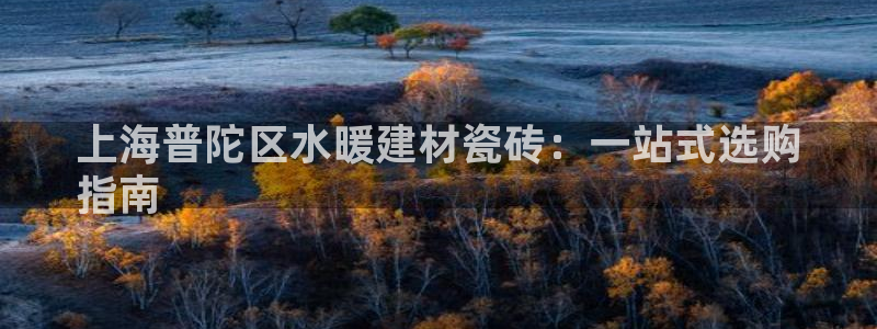 杏鑫平台代理