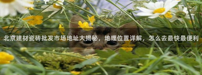 杏鑫平台广7O777