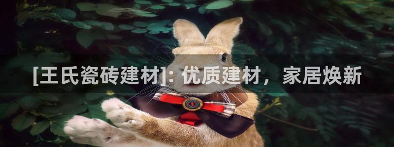 杏鑫平台招商电话