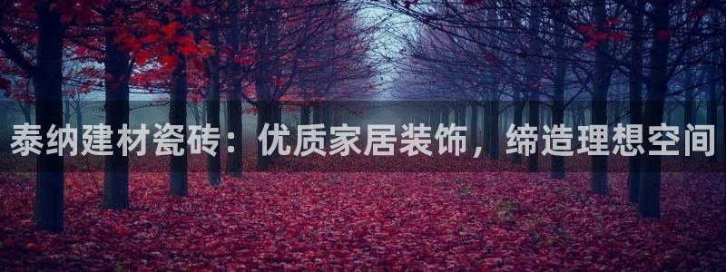 杏鑫平台怎么样