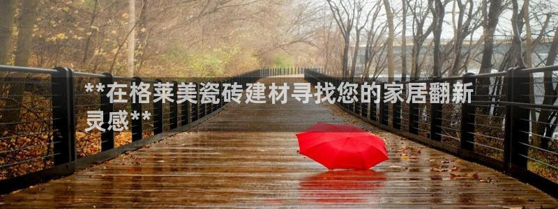 杏鑫手机客户端