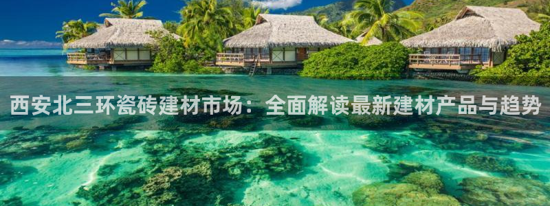 杏鑫手机客户端怎么下载