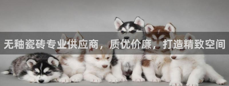 杏鑫娱乐是真的吗