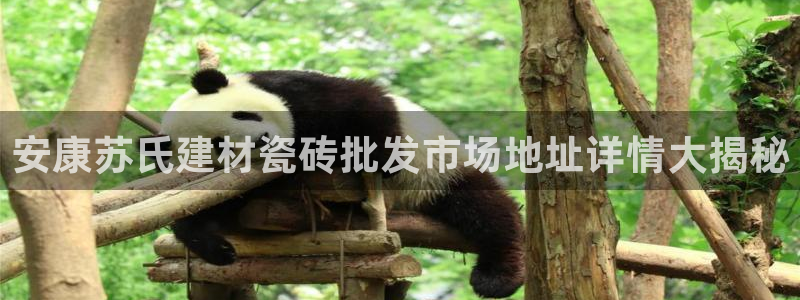 杏鑫娱乐平台