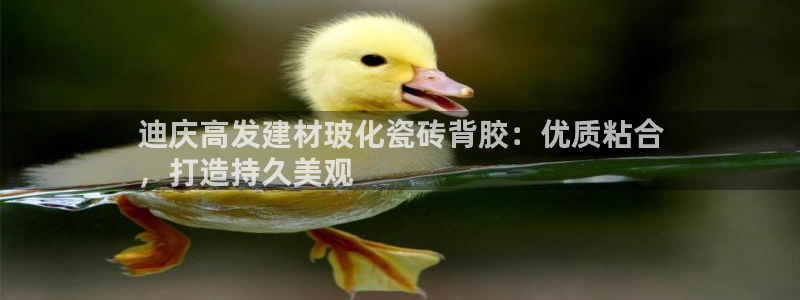 杏鑫平台怎么样黑钱吗知乎推荐
