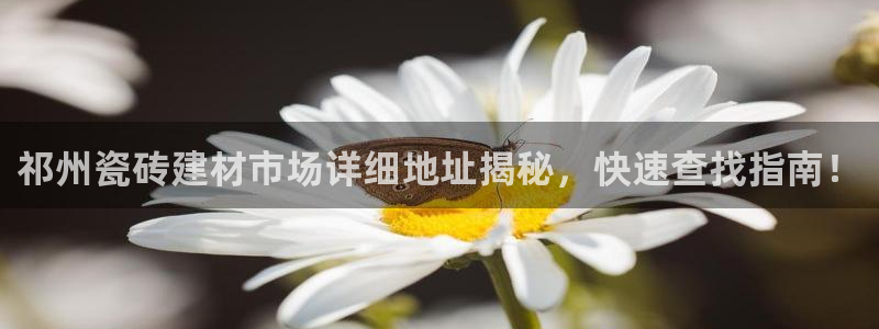 杏鑫平台正规吗是真的吗