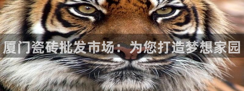杏鑫娱乐开发团队